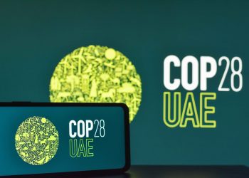 BRICS Push for Climate Finance at COP28