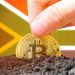 South Africa’s Position in Global Cryptocurrency Post-Greylisting