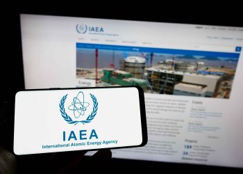 IAEA Shows Interest in BRICS Nuclear Cooperation