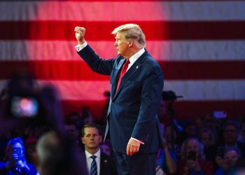 Putin Outlines Russia’s BRICS (1)