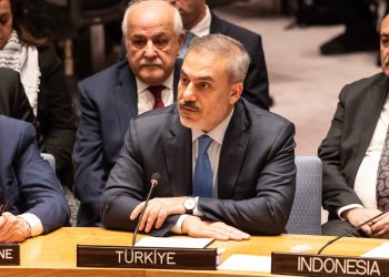 Turkey Offered Partner Country Status