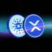 XRP and Cardano Rally While Lunex Network_